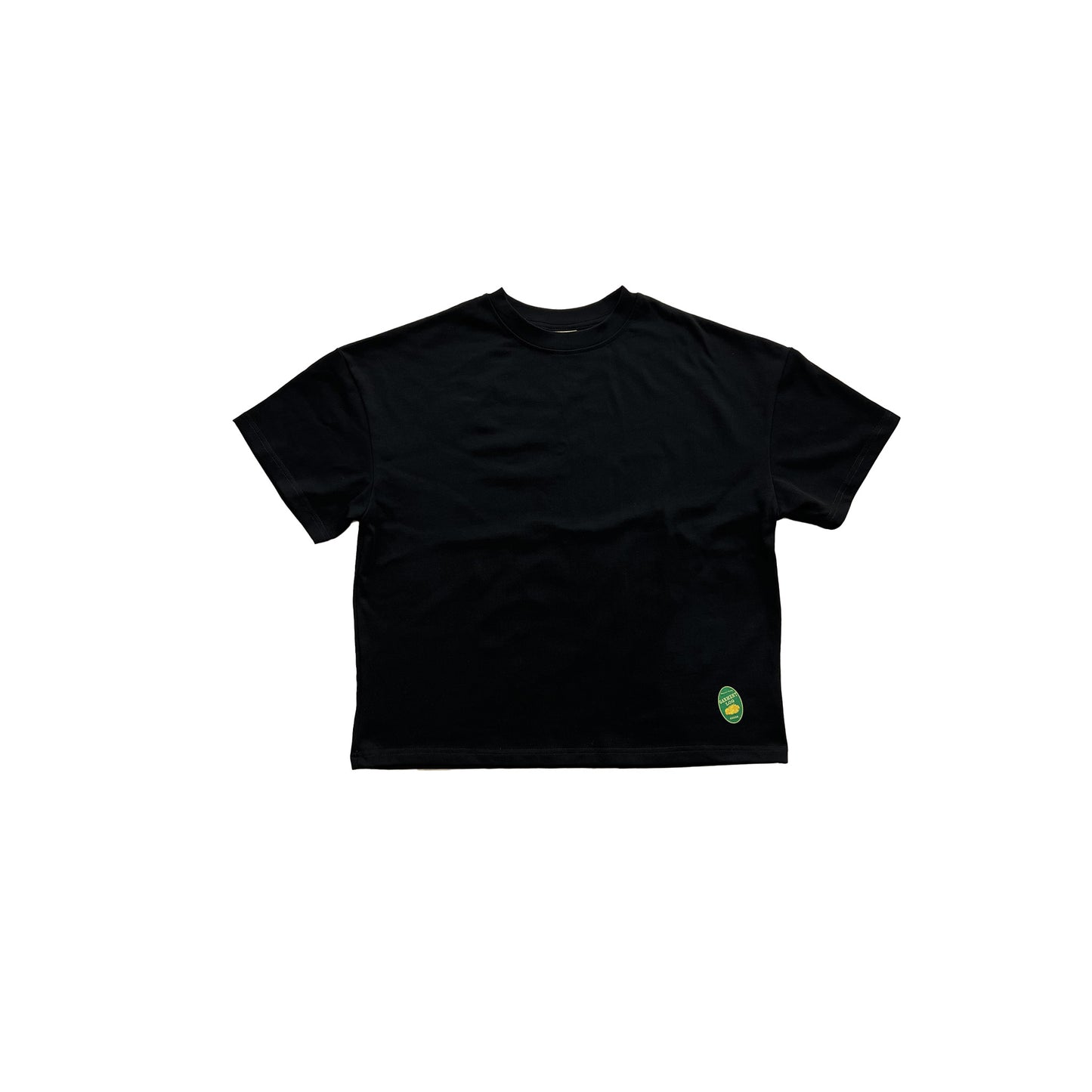 Fruit T-shirt Blank (Front logo only)