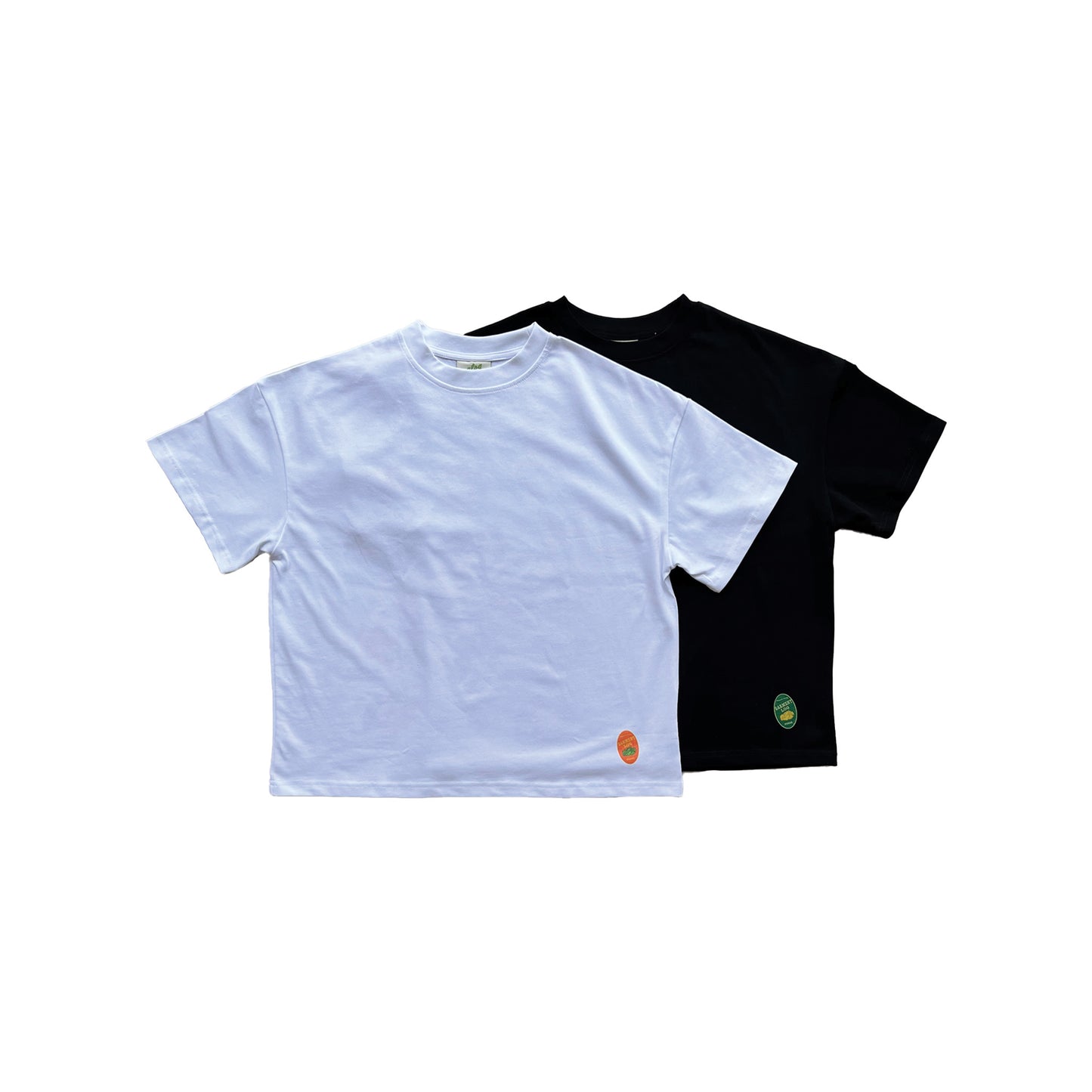 Fruit T-shirt Blank (Front logo only)